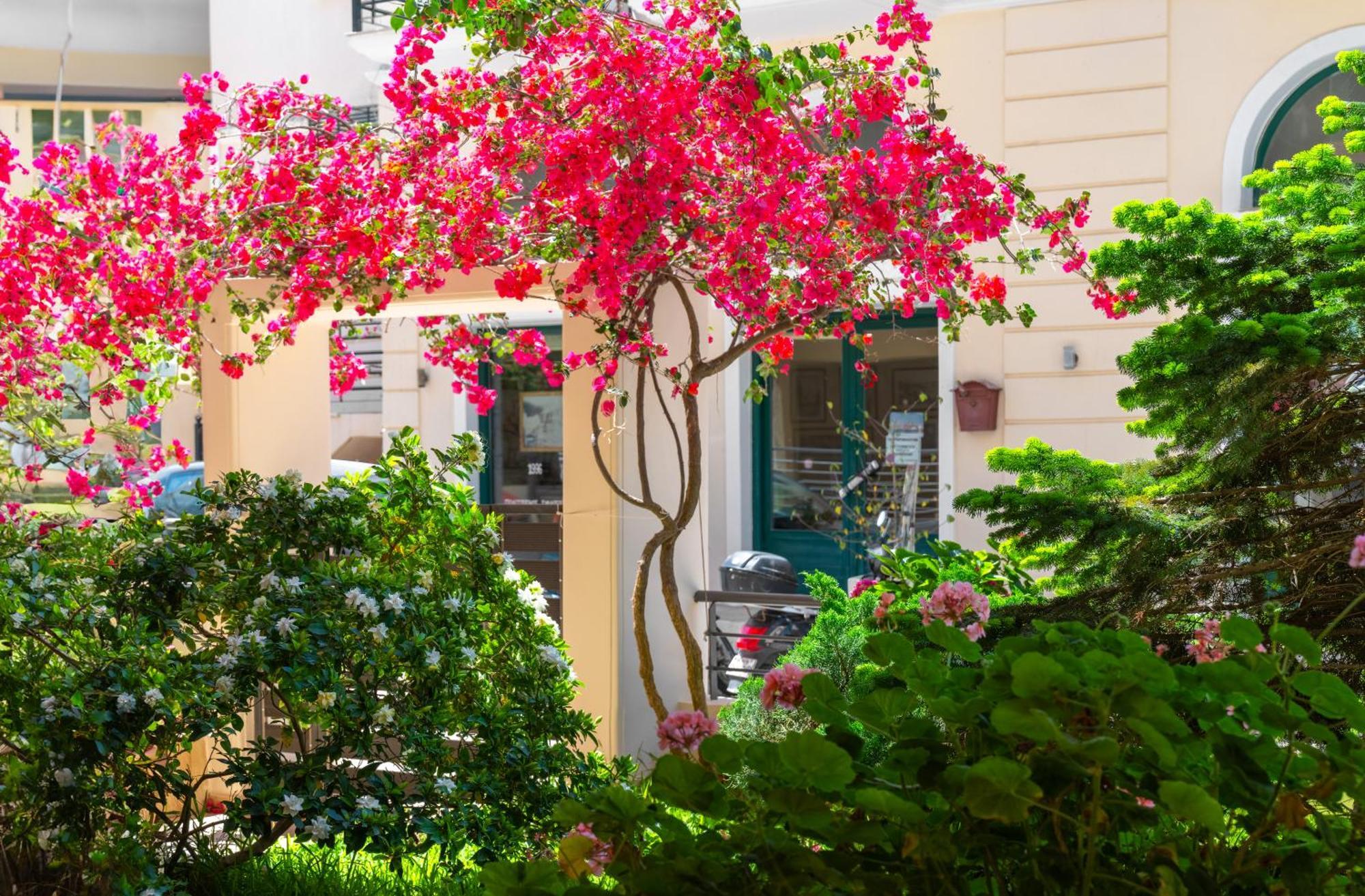 Myrto apartment Preveza Exterior foto